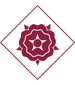 Shield of the town REUS